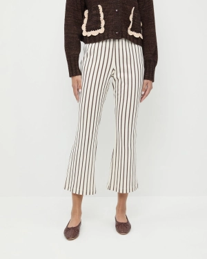 Alex Pant