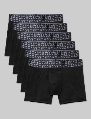 Apollo Trunk 4 (6-Pack)