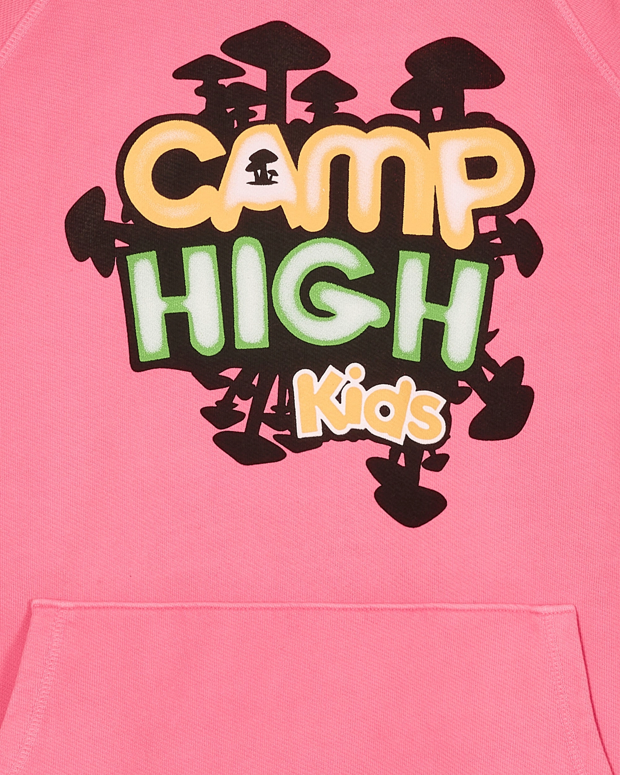 Camp High Kids Hooded Sweatshirt Pink