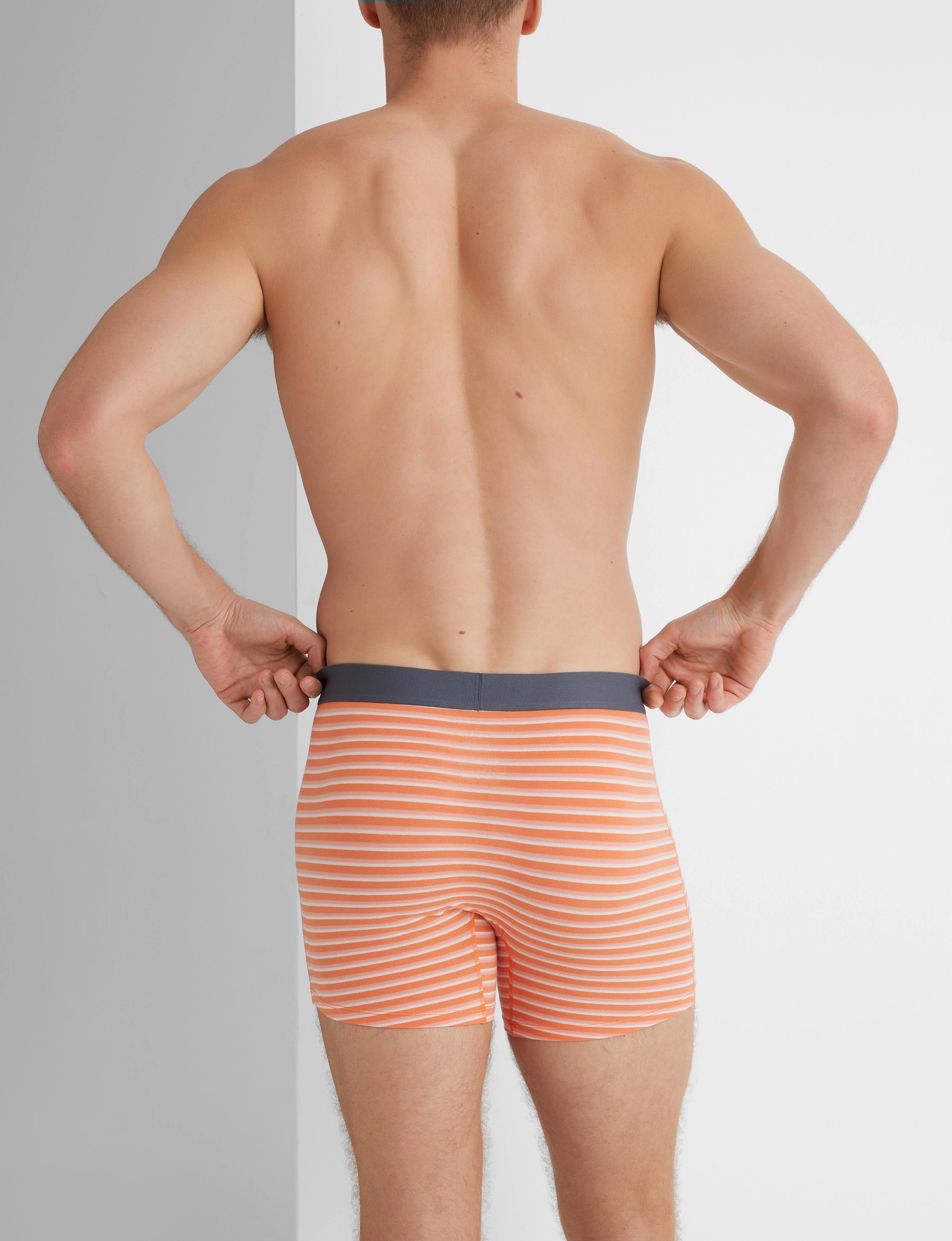 Cool Cotton Trunk 4 (3-Pack)