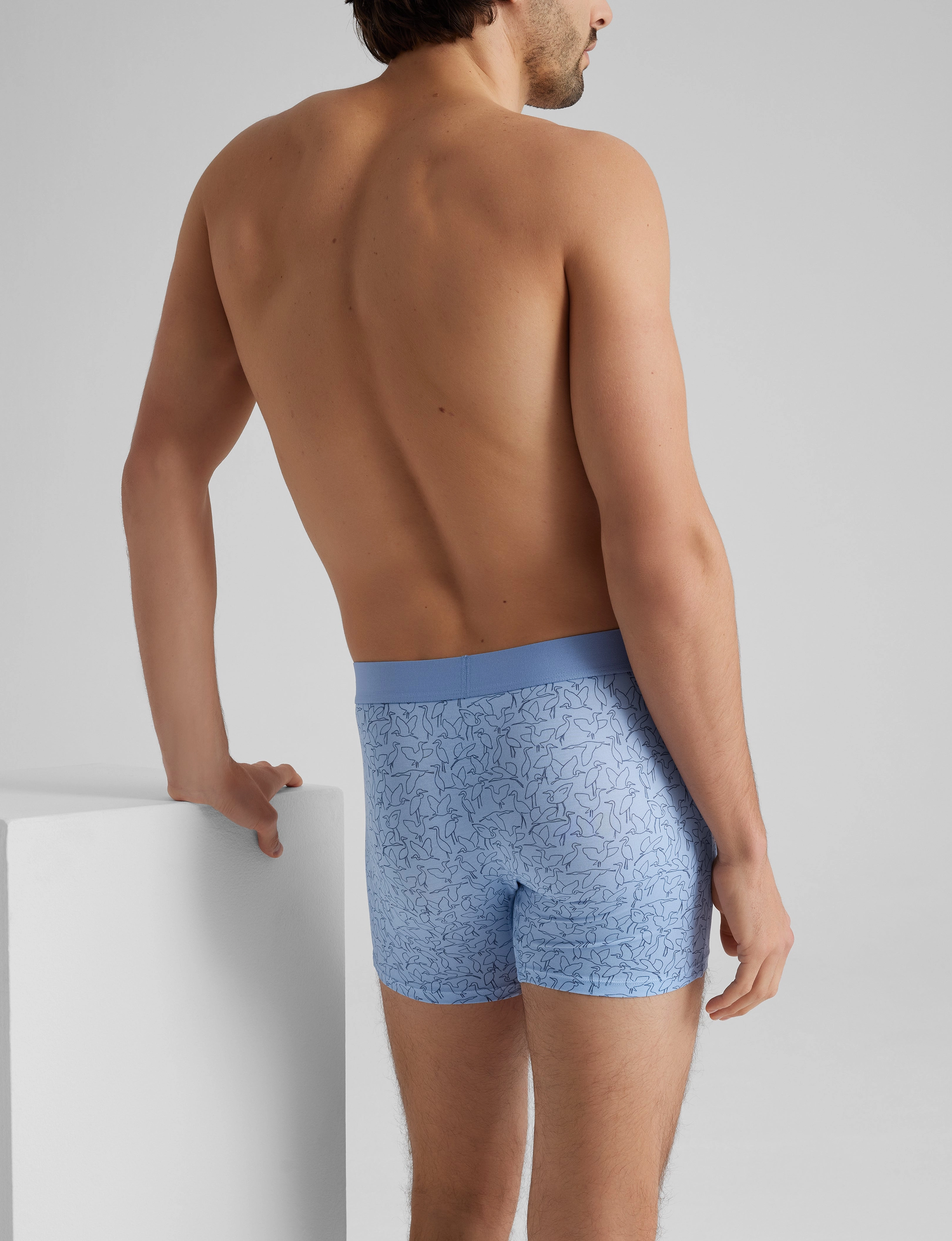 Cool Cotton Trunk 4 (3-Pack)