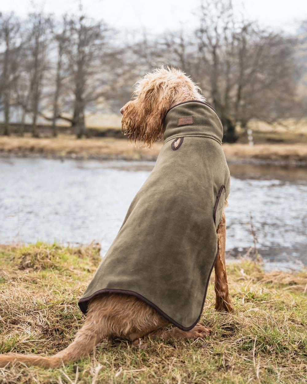 Hoggs of Fife Stenton Fleece Dog Coat