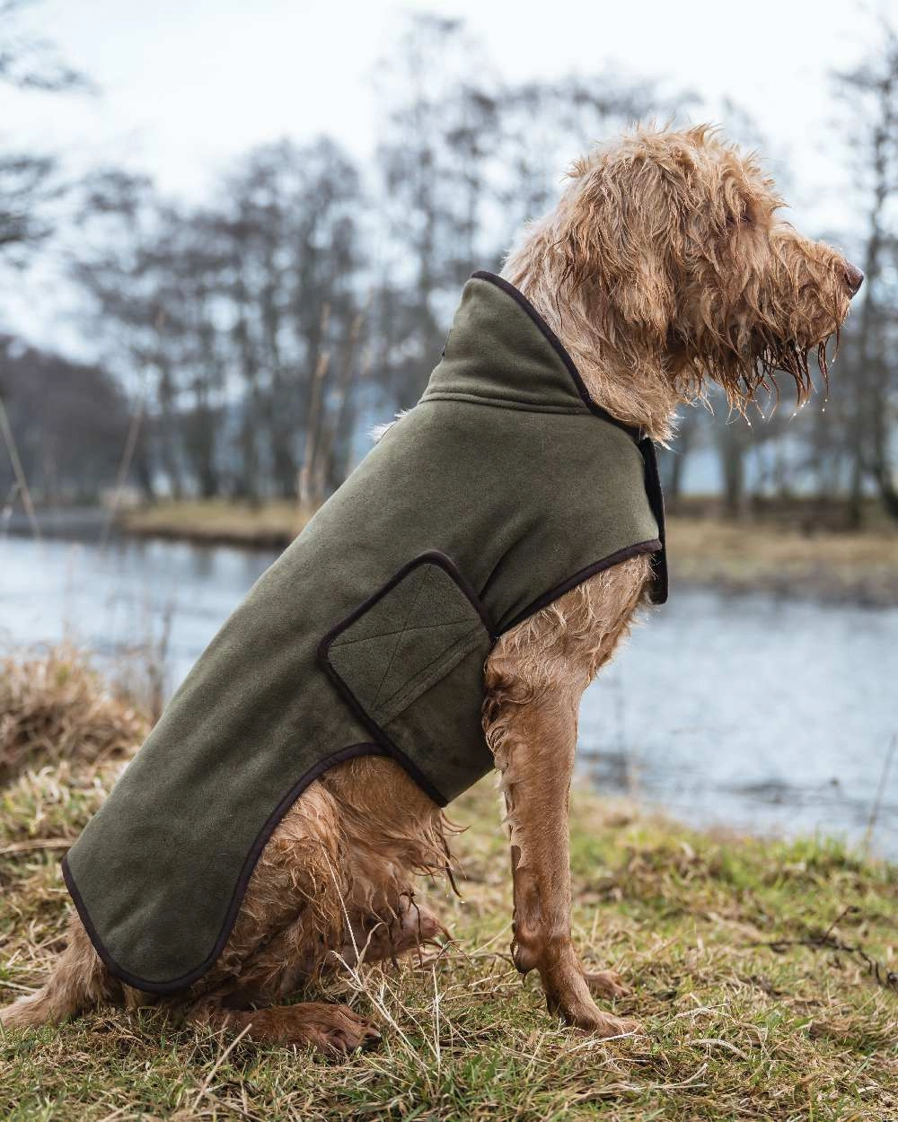 Hoggs of Fife Stenton Fleece Dog Coat