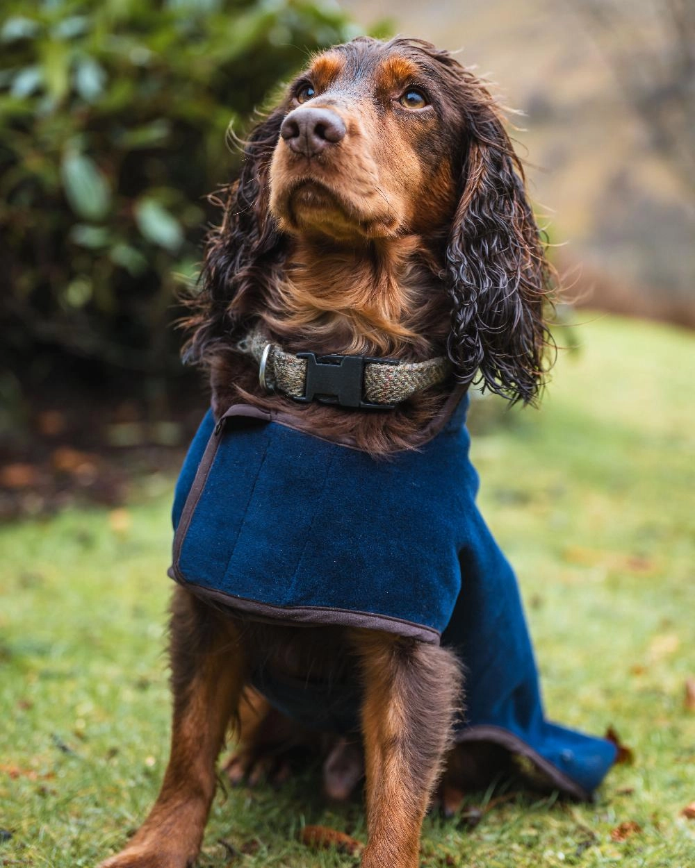 Hoggs of Fife Stenton Fleece Dog Coat