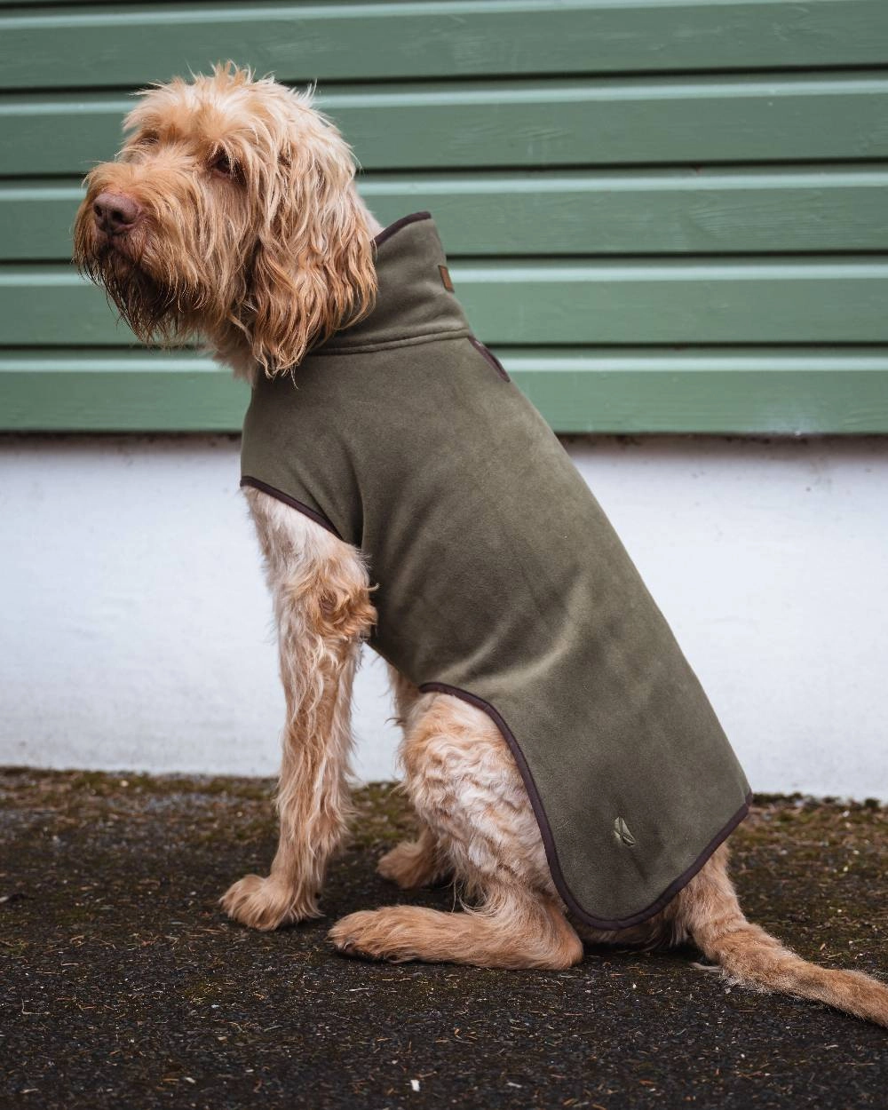 Hoggs of Fife Stenton Fleece Dog Coat