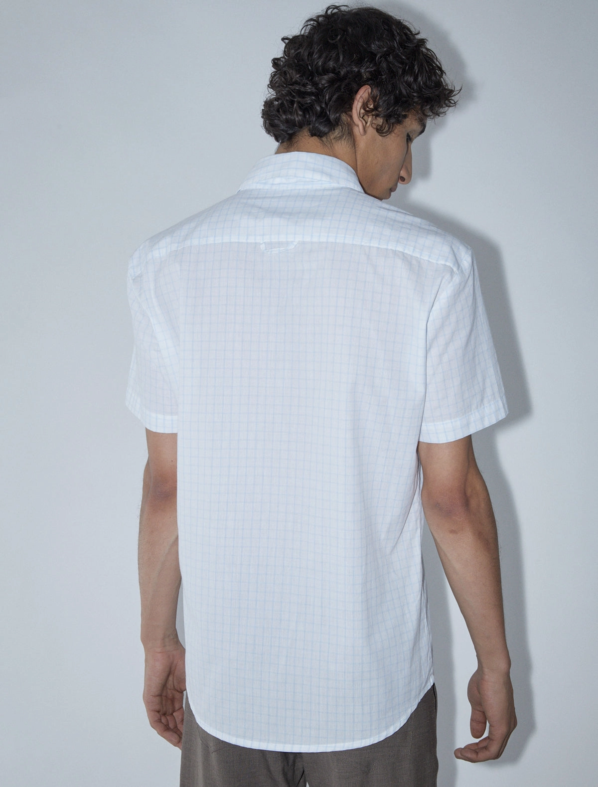 no 2431 / Tiza